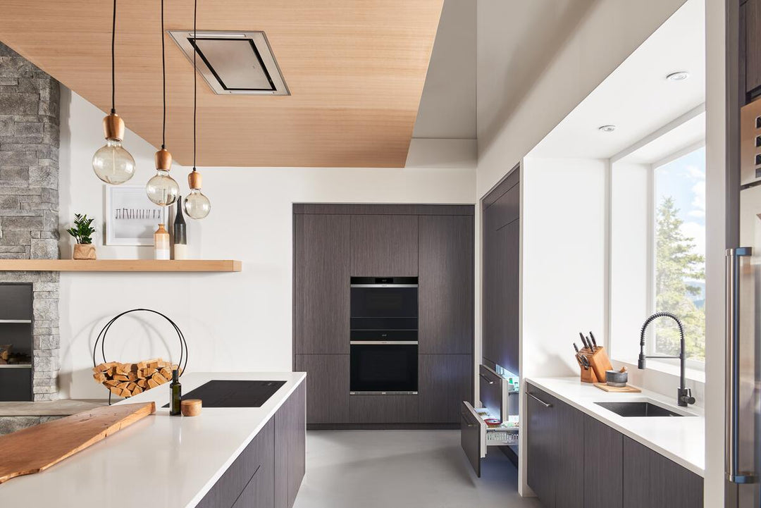 Wolf Ceiling-Mounted Hood