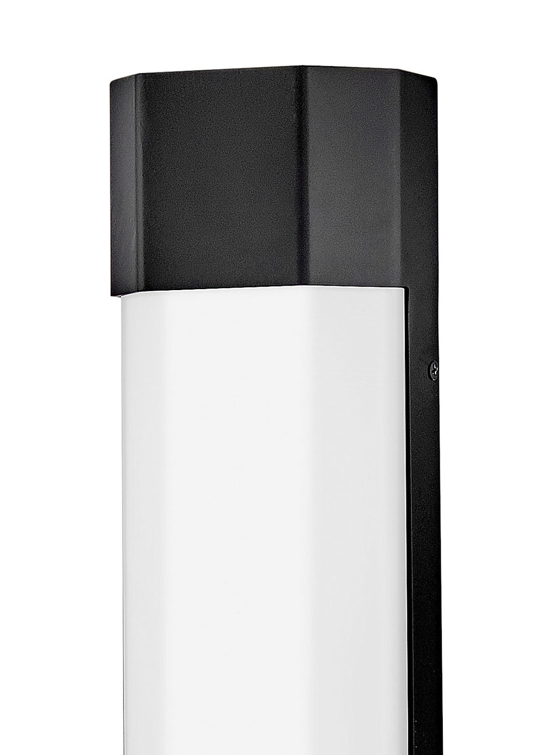 Hinkley Facet Outdoor Wall Light (view 3)