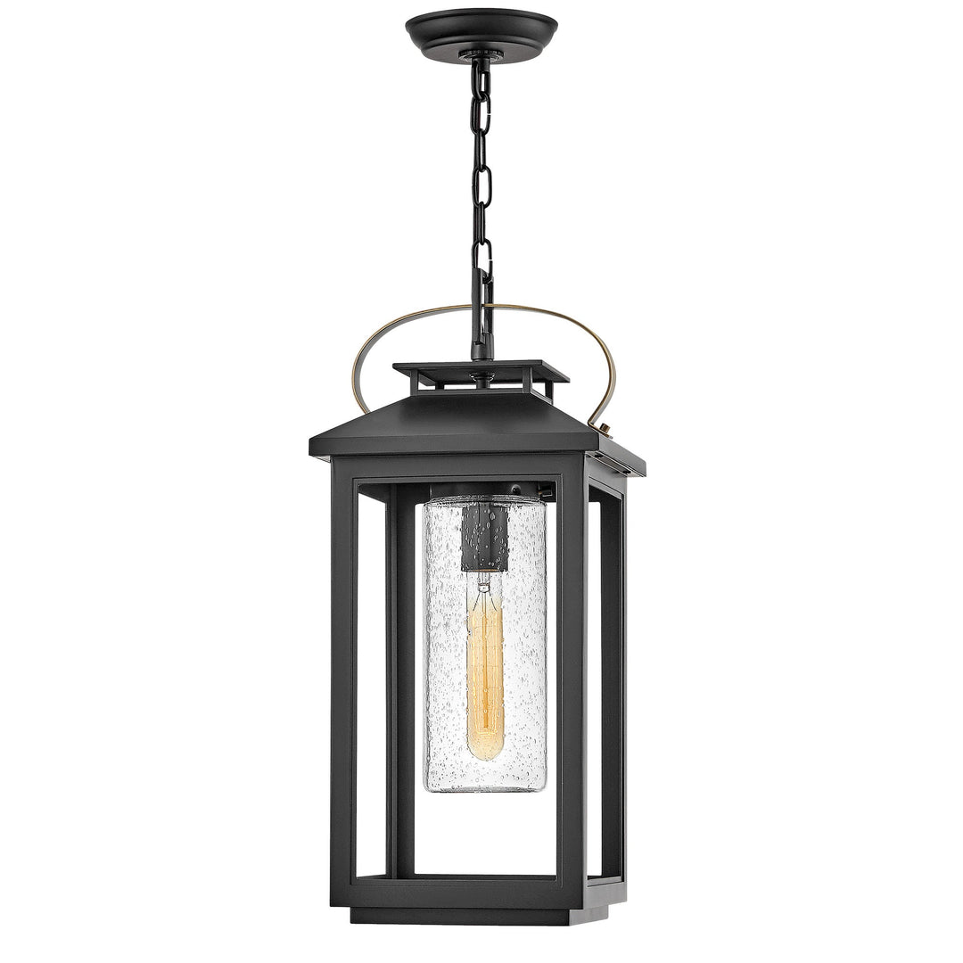 Hinkley Atwater 12V Outdoor Pendant in Black