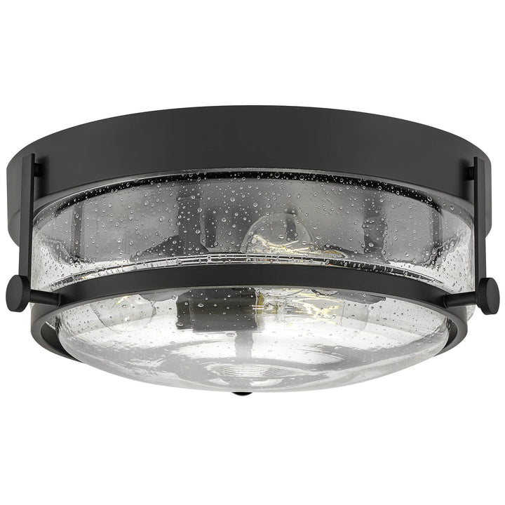 Hinkley Harper Ceiling Light in Black