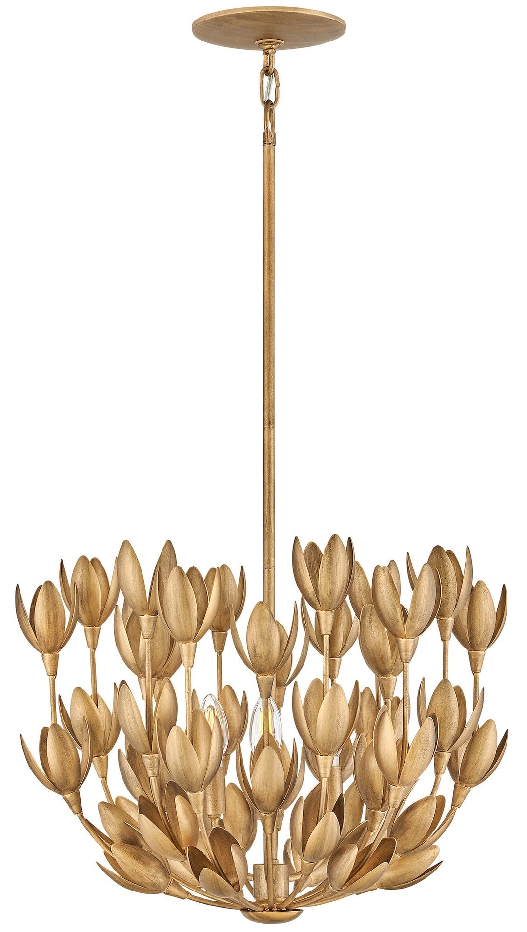 Hinkley-30011BNG-Burnished Gold