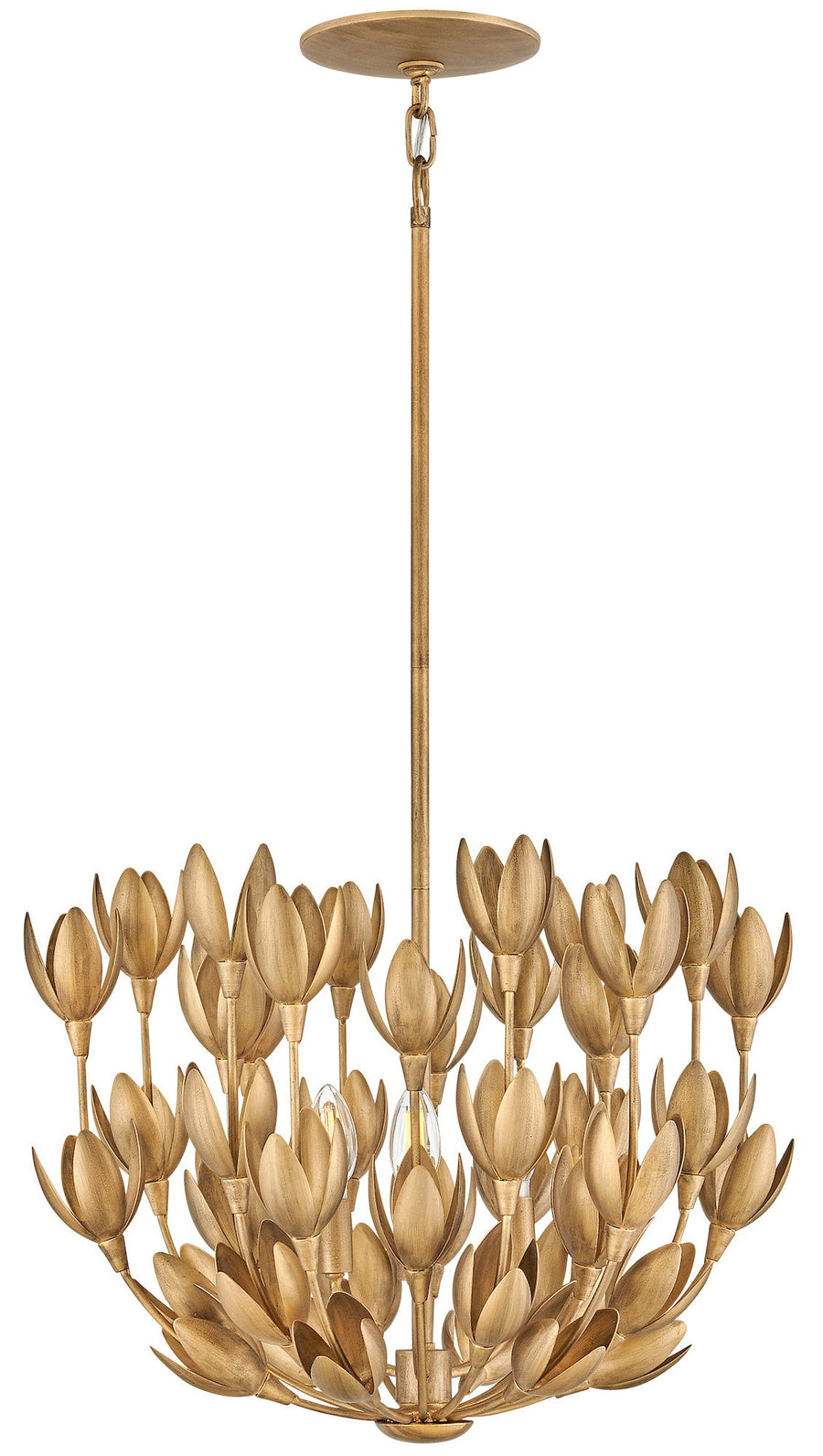Hinkley-30011BNG-Burnished Gold
