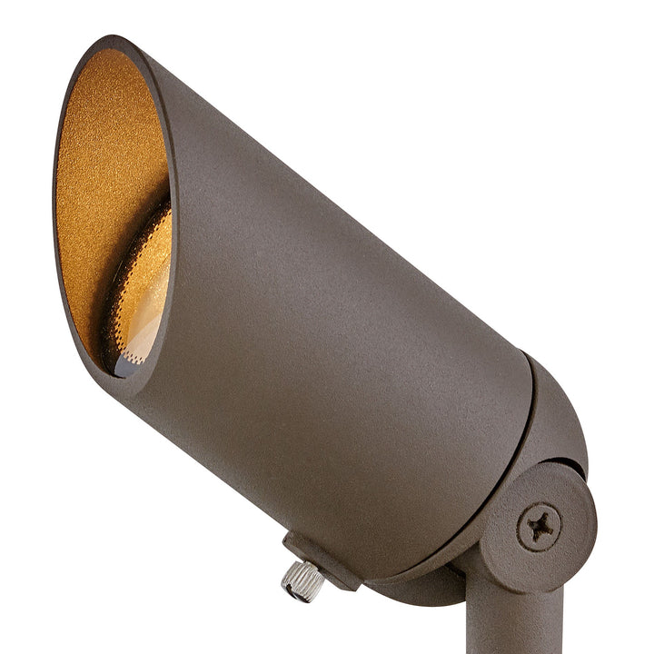 Hinkley Hardy Island 12V Accent Spot Light 12 Pack in Textured Brown