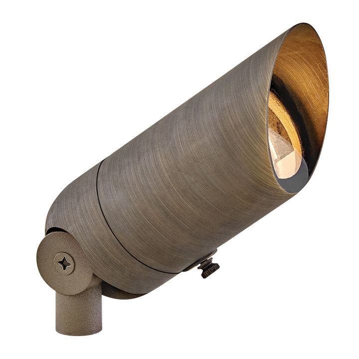 Hinkley LumaCore Variable Output LED Accent 120V Spot Light in Matte Bronze