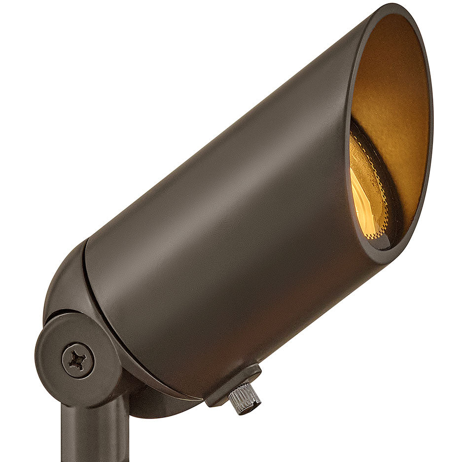 Hinkley LumaCore Variable Output Hardy Island 12V Spot Light in Bronze (view 2)