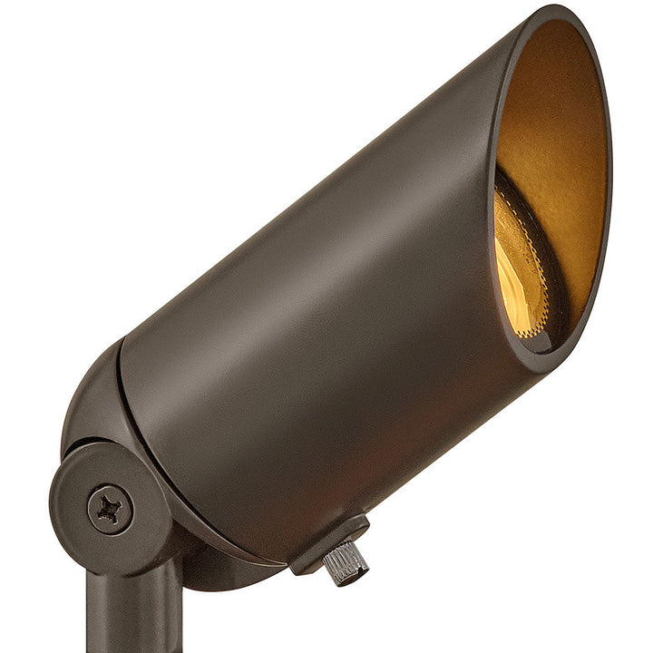 Hinkley LumaCore Variable Output Hardy Island 12V Spot Light in Bronze (view 2)