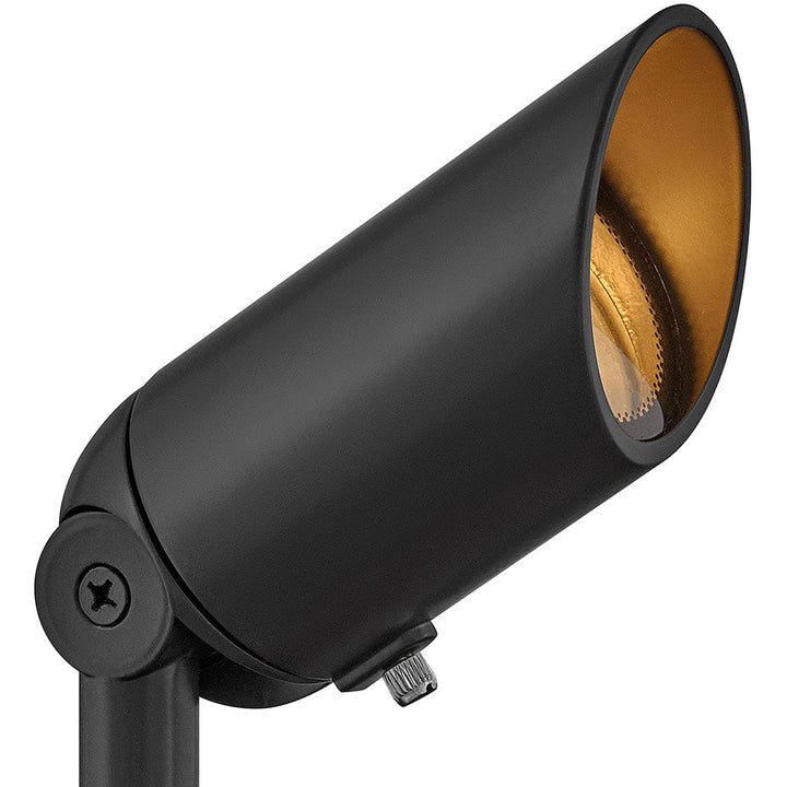 Hinkley LumaCore Variable Output Hardy Island 12V Spot Light in Satin Black