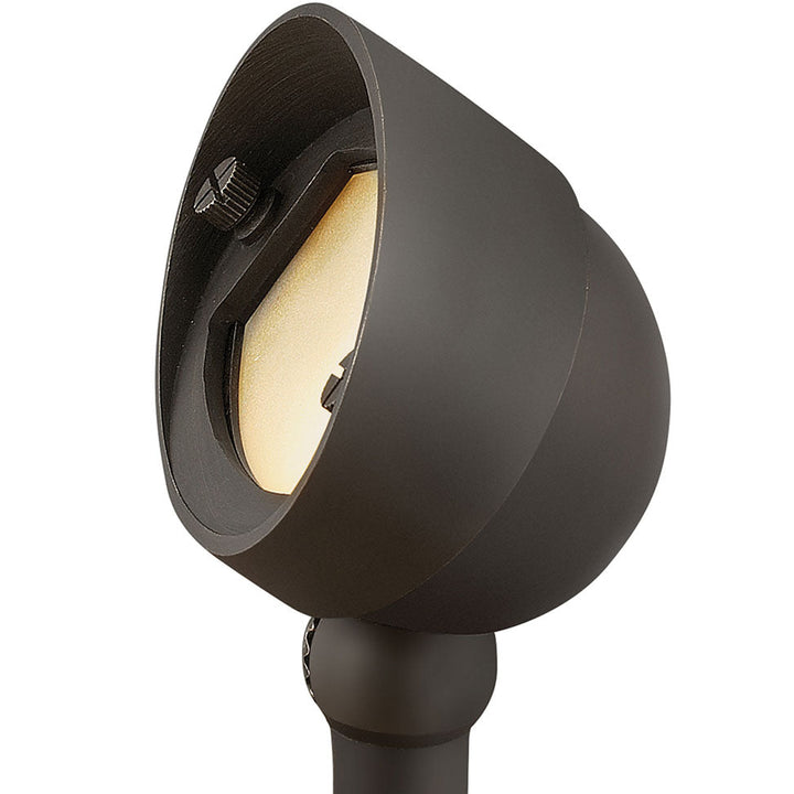 Hardy Island 12V Wall Wash Spot Light
