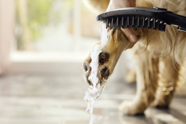 Hansgrohe Dog Shower Dog Shower Bundle 3-Spray 1.75 GPM