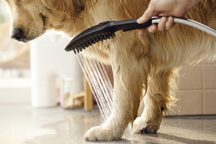 Hansgrohe Dog Shower Dog Shower + Quick Connect 3-Spray 1.75 GPM