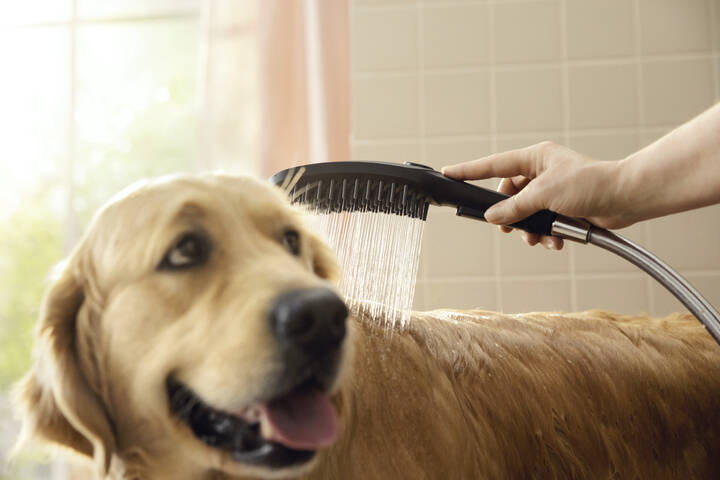 Hansgrohe Dog Shower Dog Shower + Quick Connect 3-Spray 1.75 GPM