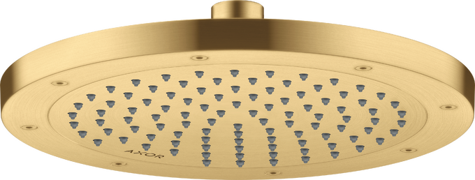 AXOR ShowerSolutions Showerhead 245