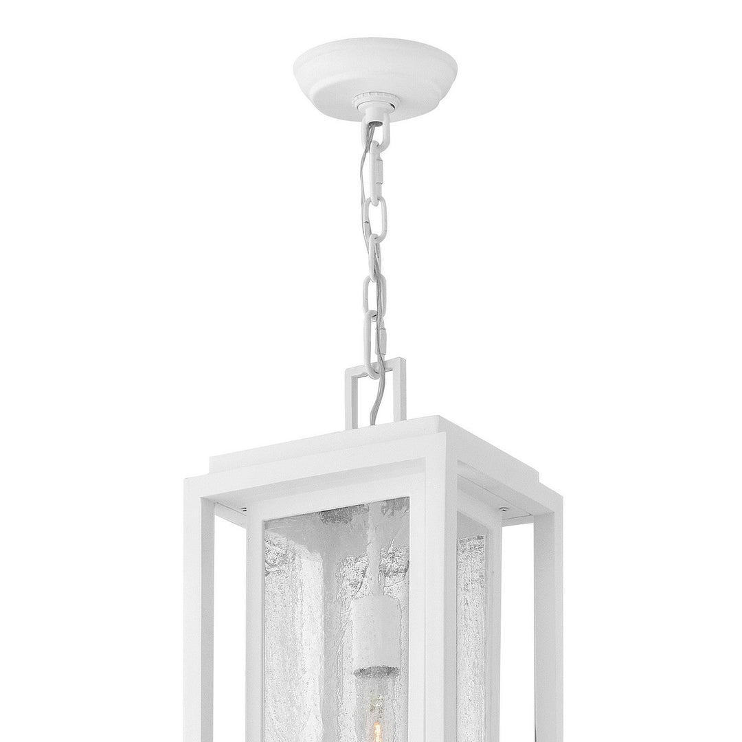 Hinkley Republic 120V Tall Outdoor Pendant (view 14)