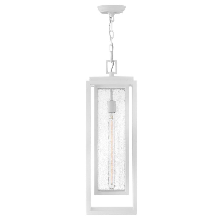 Hinkley Republic 120V Tall Outdoor Pendant (view 17)