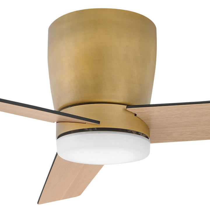 Hinkley Ari Ceiling Fan with Light (view 26)