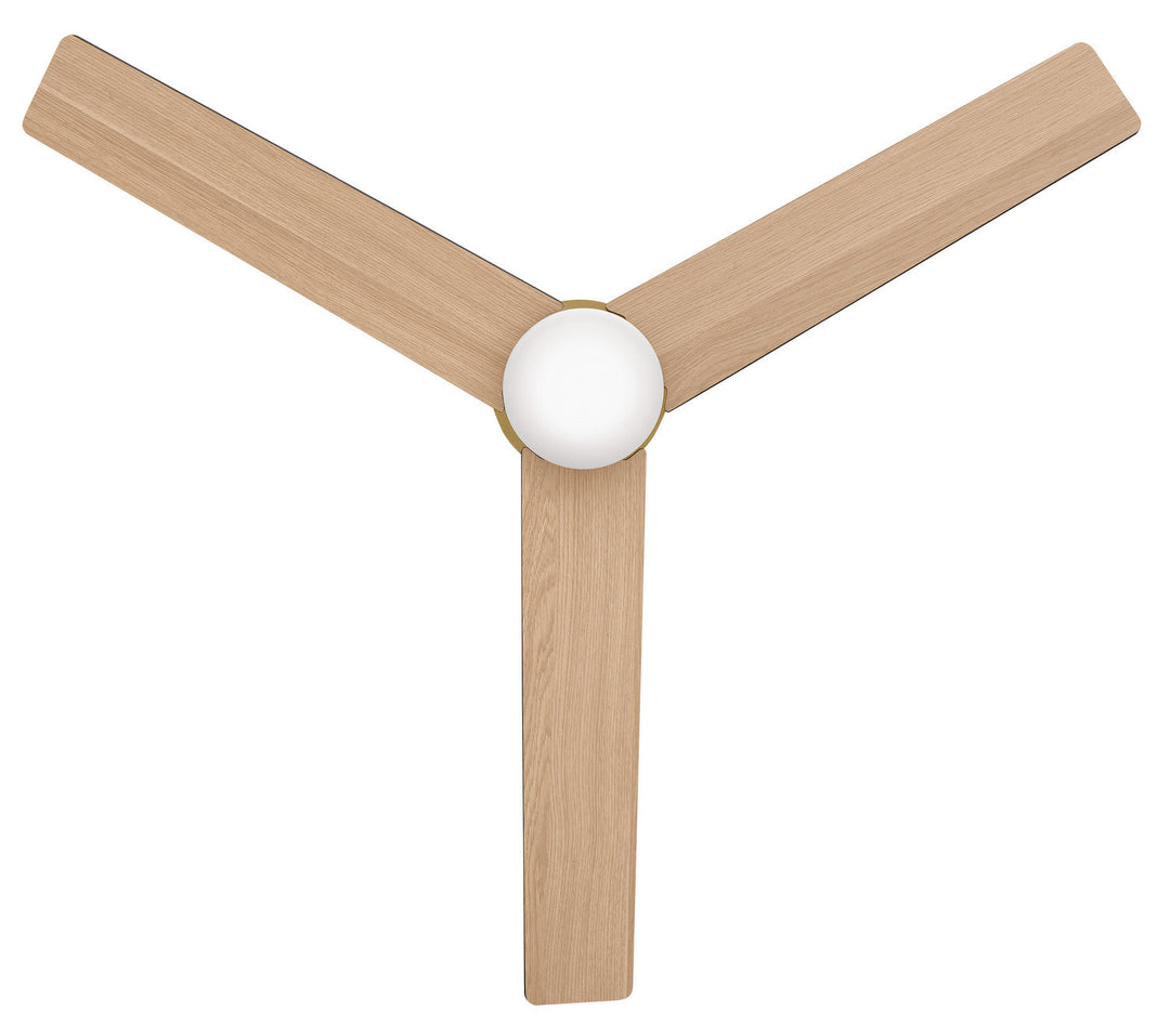 Hinkley Ari Ceiling Fan with Light (view 29)