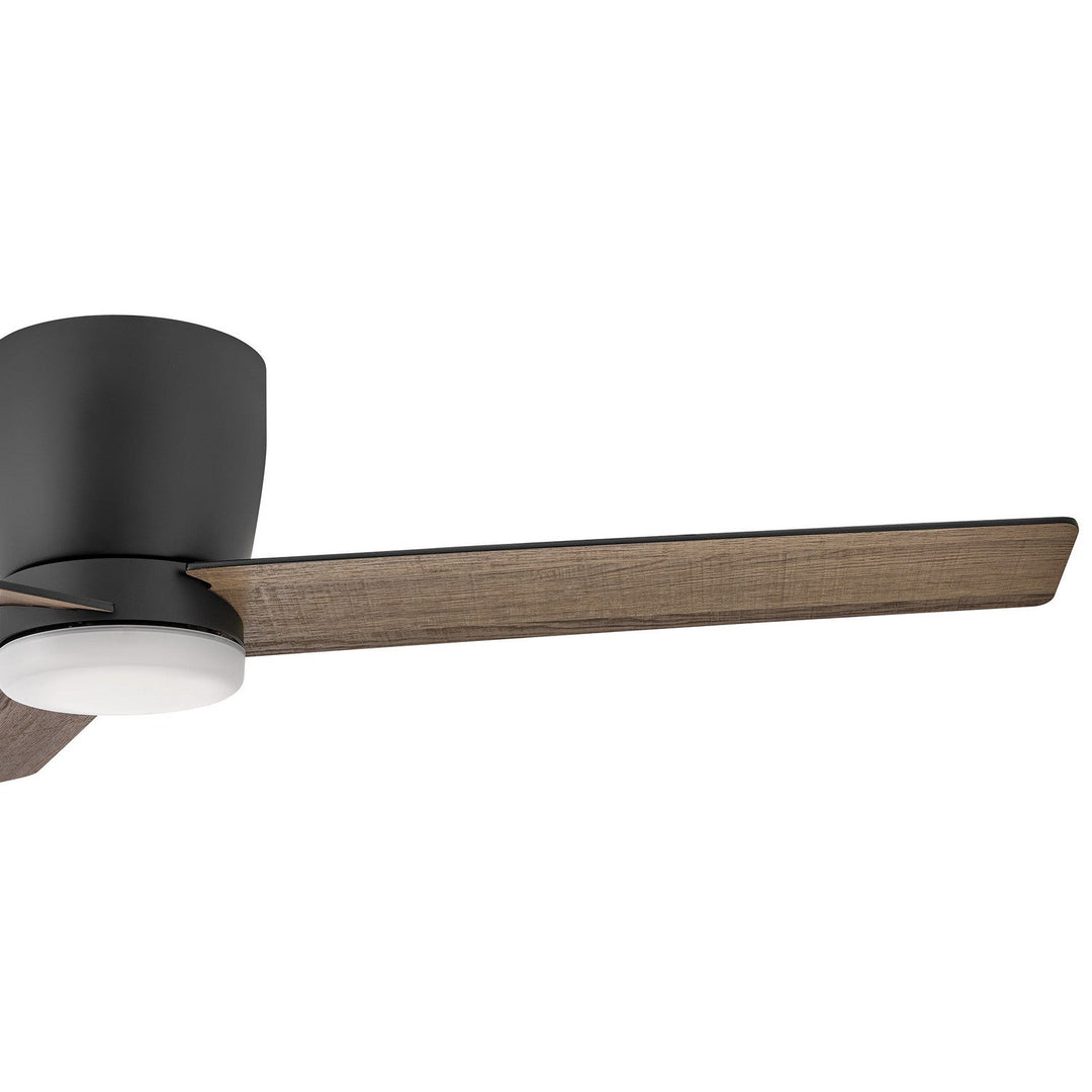 Hinkley Ari Ceiling Fan with Light (view 5)