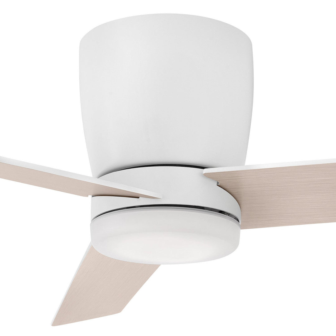 Hinkley Ari Ceiling Fan with Light (view 18)