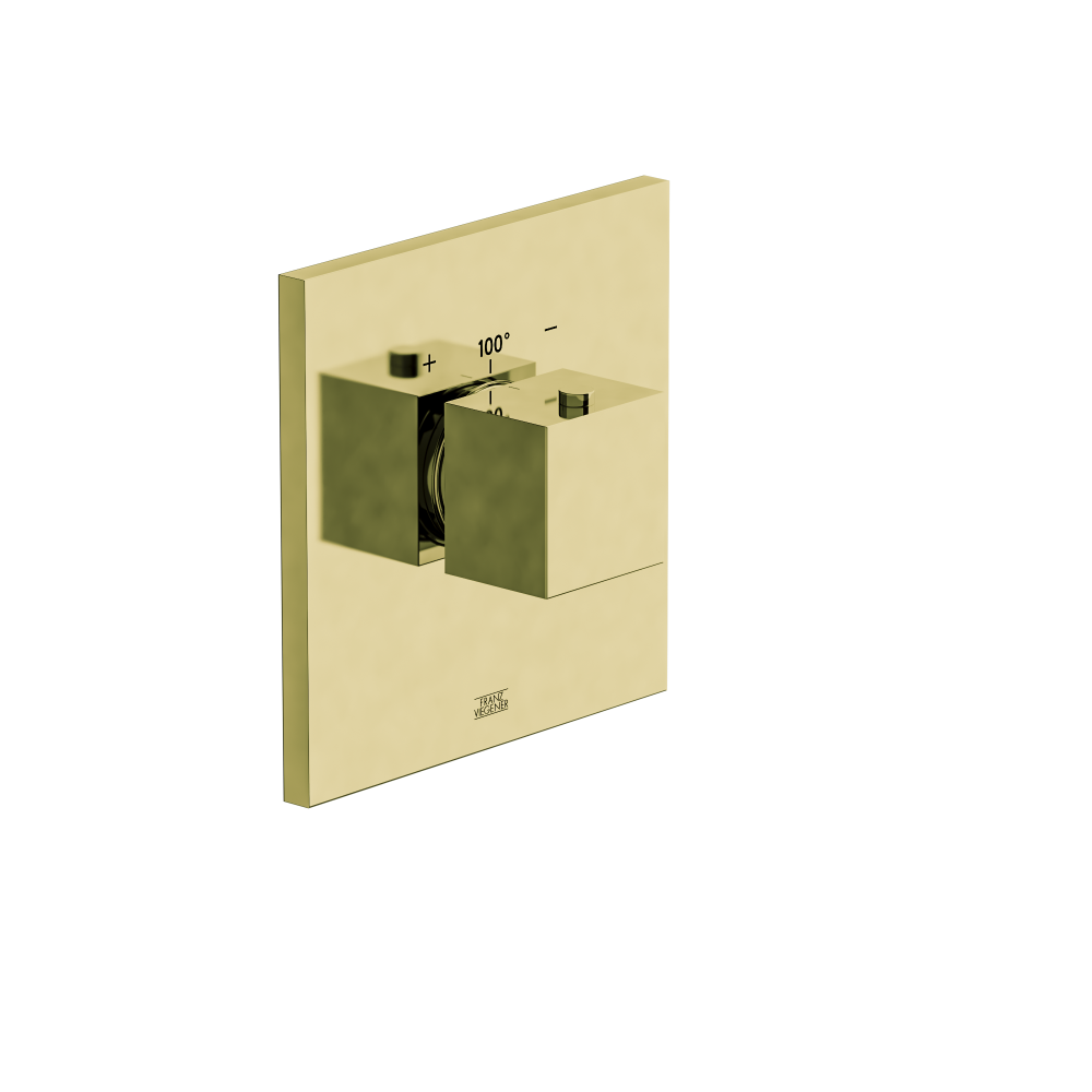 Franz Viegener Universal Square Thermostatic Wall Valve Trim