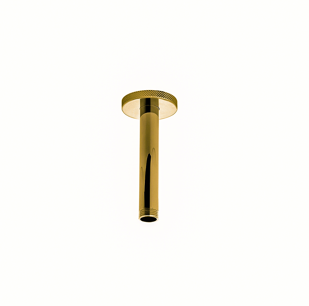 Franz Viegener Techno Chic Shower Arm