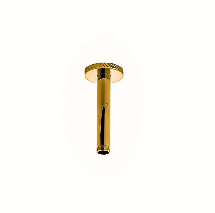 Franz Viegener Techno Chic Shower Arm