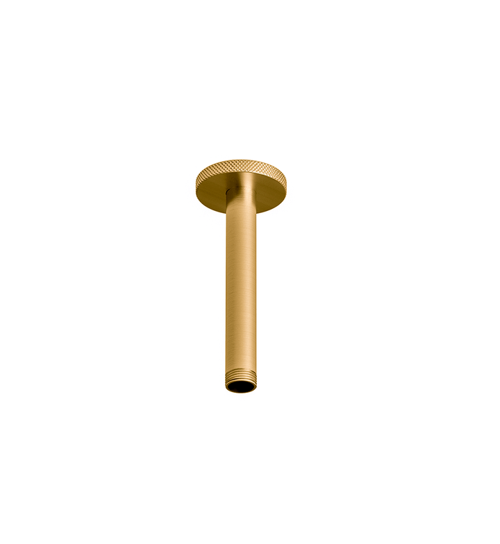 Franz Viegener Techno Chic Shower Arm
