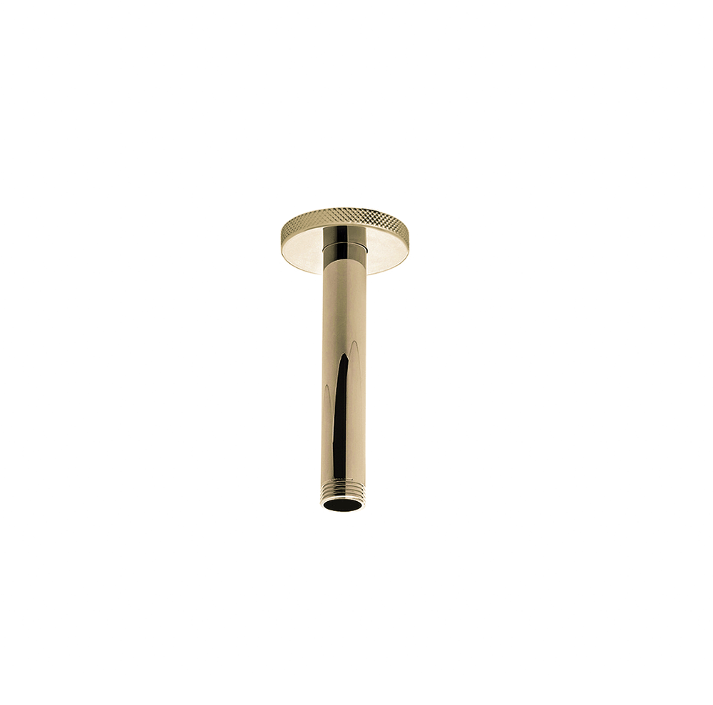 Franz Viegener Techno Chic Shower Arm