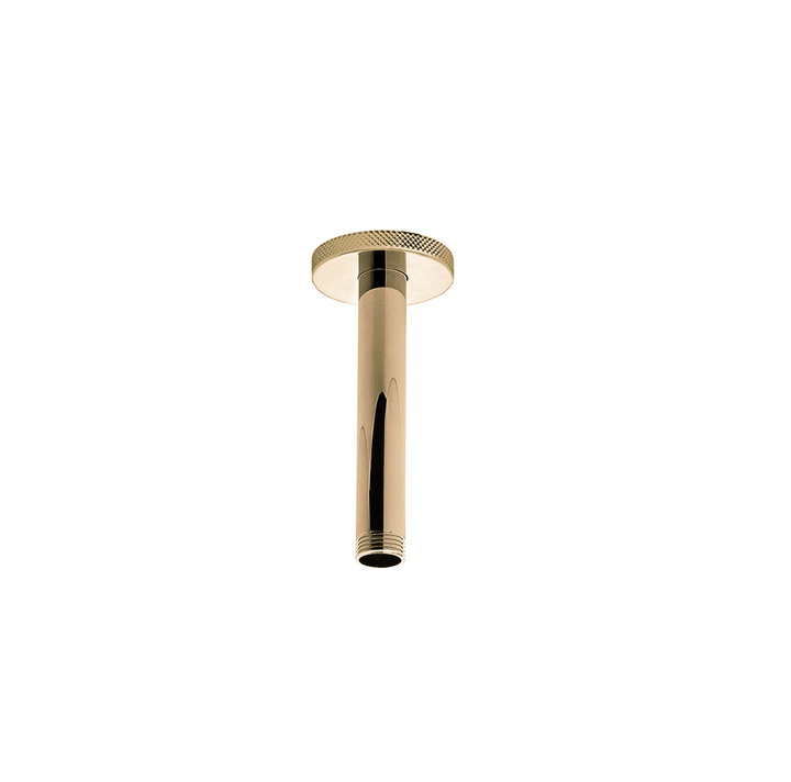 Franz Viegener Techno Chic Shower Arm
