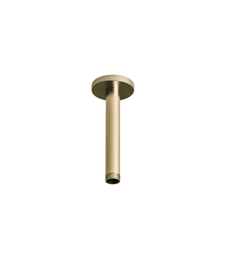 Franz Viegener Techno Chic Shower Arm