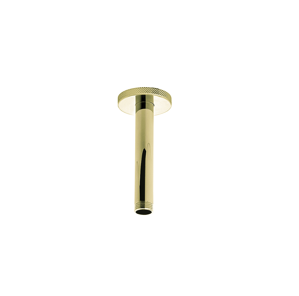 Franz Viegener Techno Chic Shower Arm