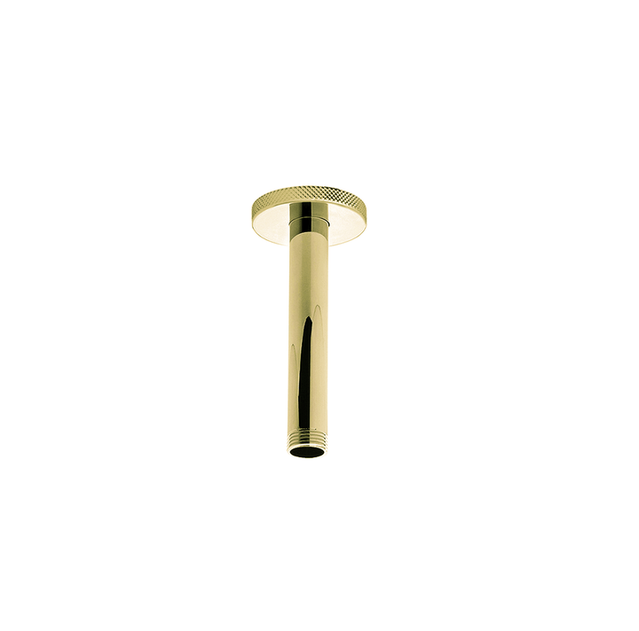 Franz Viegener Techno Chic Shower Arm