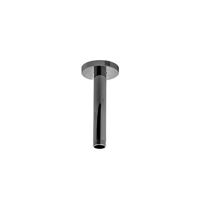 Franz Viegener Techno Chic Shower Arm