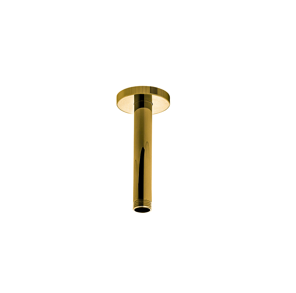 Franz Viegener Techno Chic Shower Arm