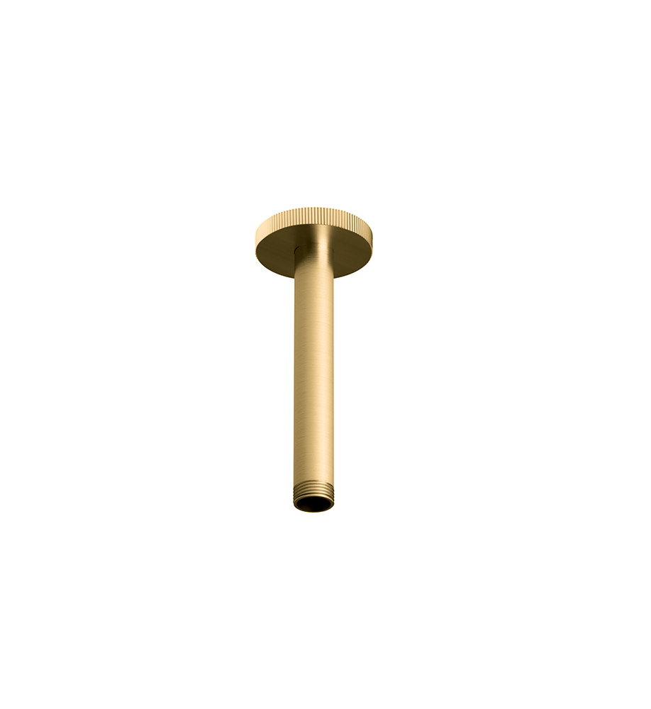 Franz Viegener Techno Chic Shower Arm