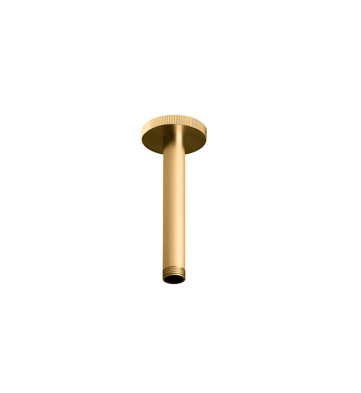 Franz Viegener Techno Chic Shower Arm
