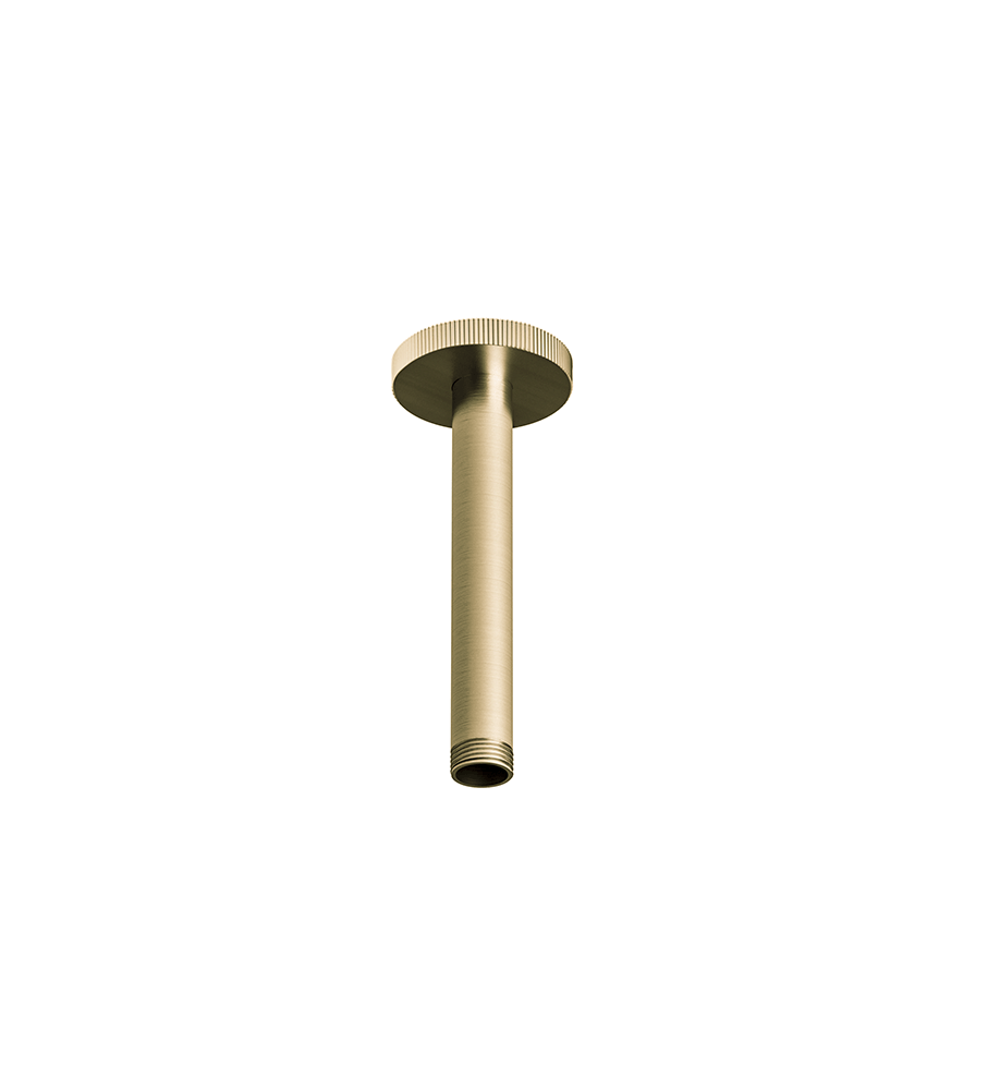 Franz Viegener Techno Chic Shower Arm