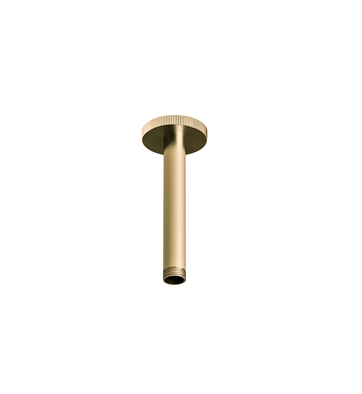 Franz Viegener Techno Chic Shower Arm