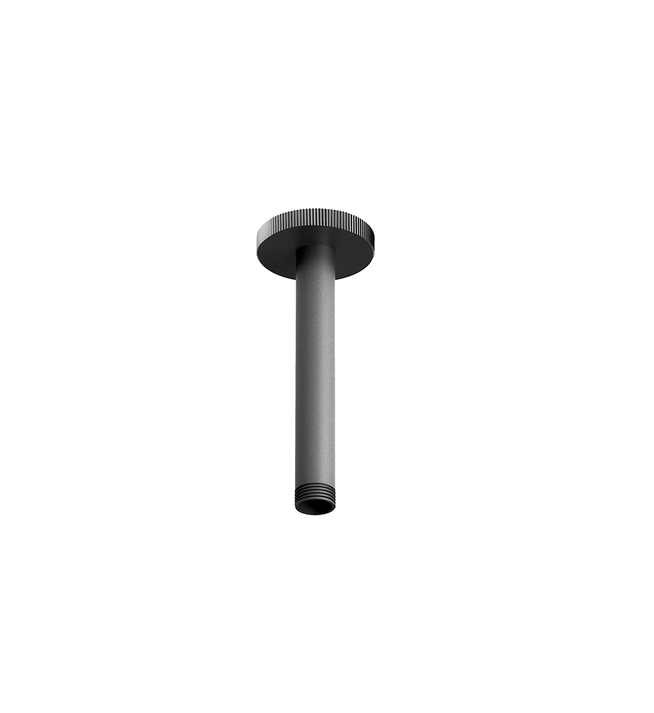 Franz Viegener Techno Chic Shower Arm