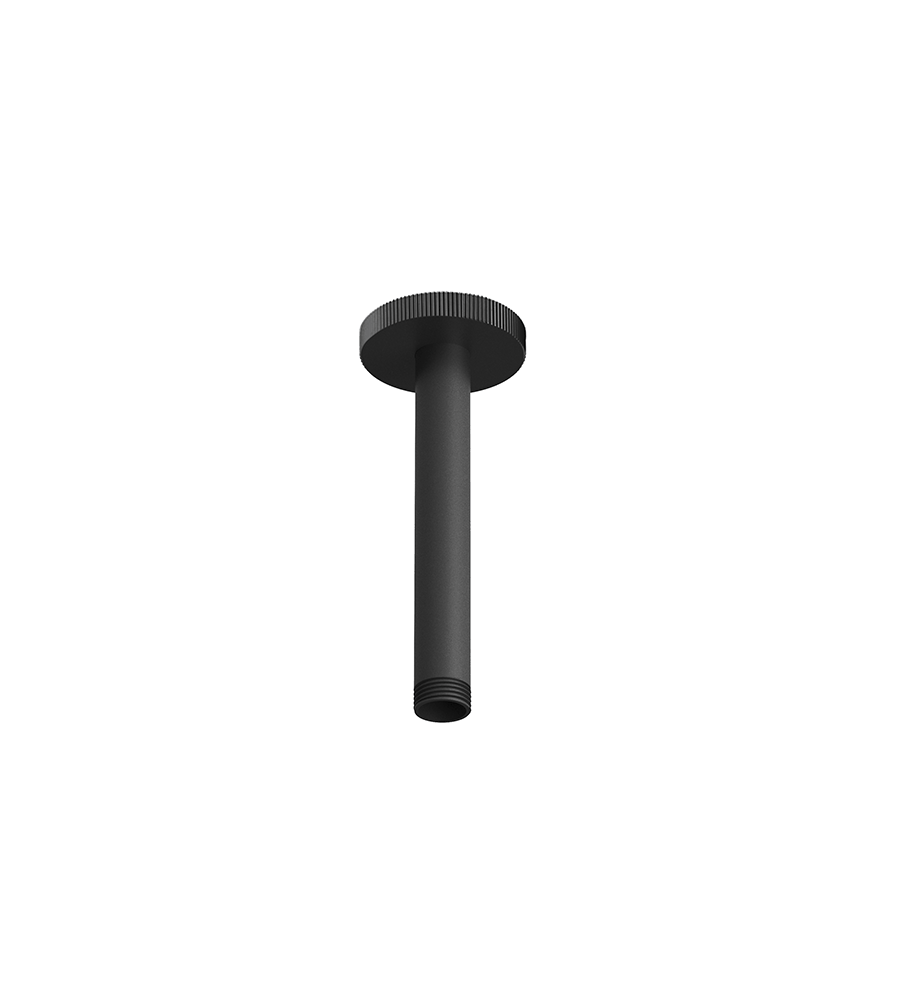 Franz Viegener Techno Chic Shower Arm