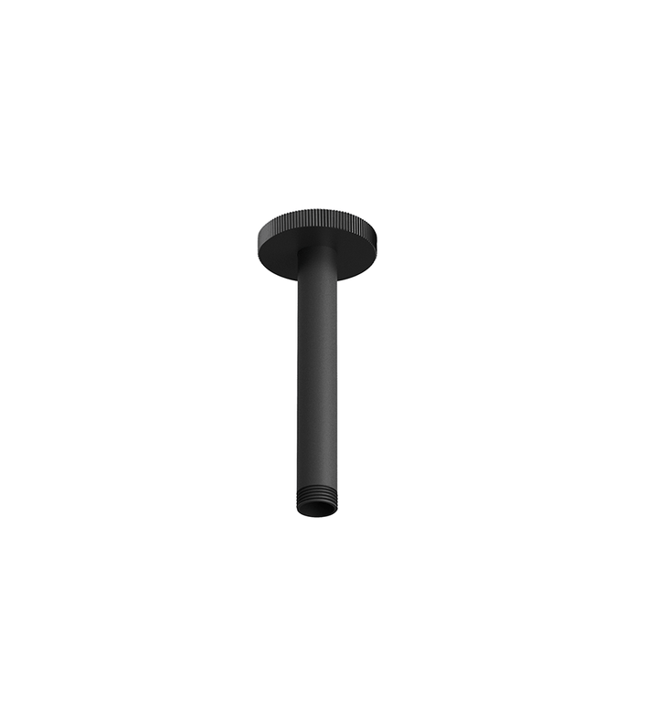 Franz Viegener Techno Chic Shower Arm