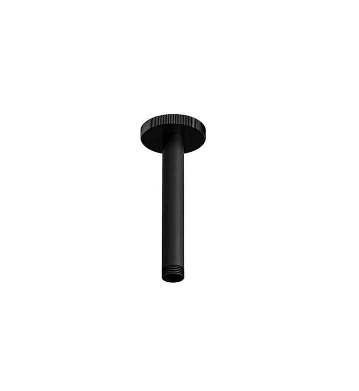Franz Viegener Techno Chic Shower Arm