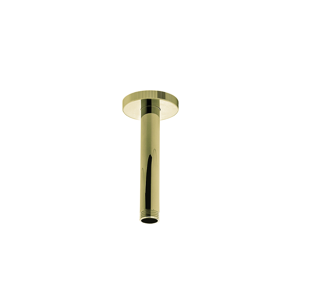 Franz Viegener Techno Chic Shower Arm
