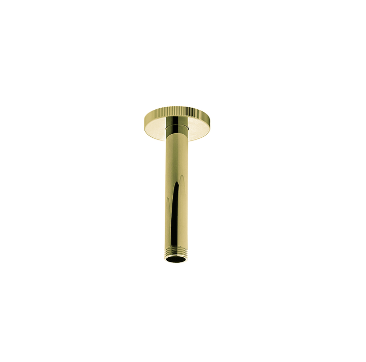 Franz Viegener Techno Chic Shower Arm