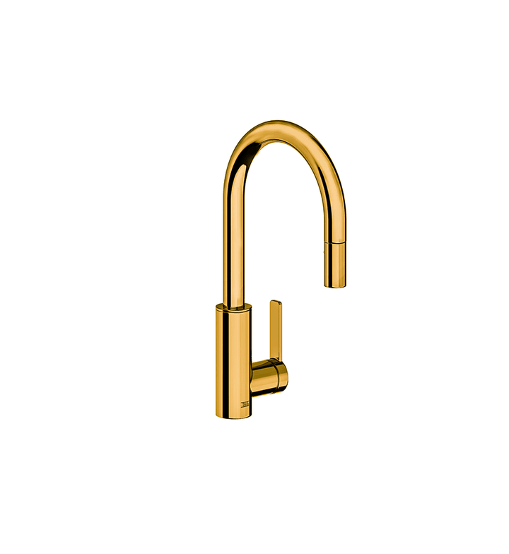 Franz Viegener Single Handle Kitchen Mixer With Pullout Sprayer