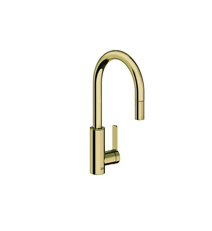 Franz Viegener Single Handle Kitchen Mixer With Pullout Sprayer