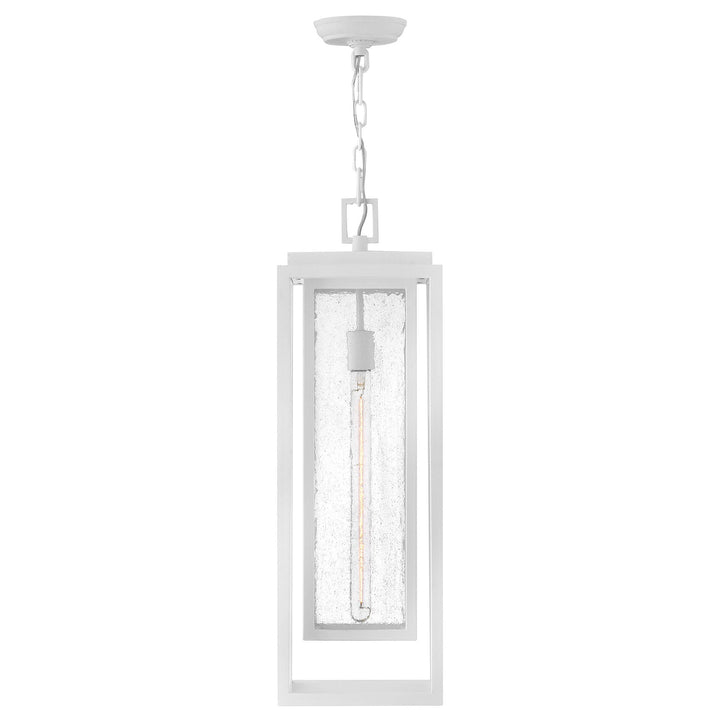 Hinkley Republic 120V Tall Outdoor Pendant (view 5)