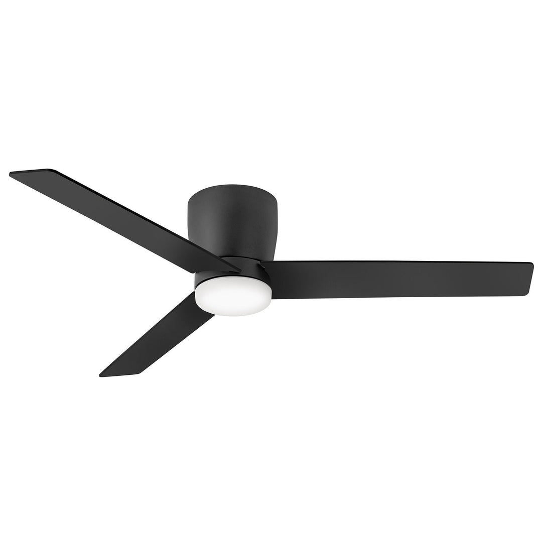 Hinkley Ari Ceiling Fan with Light (view 23)