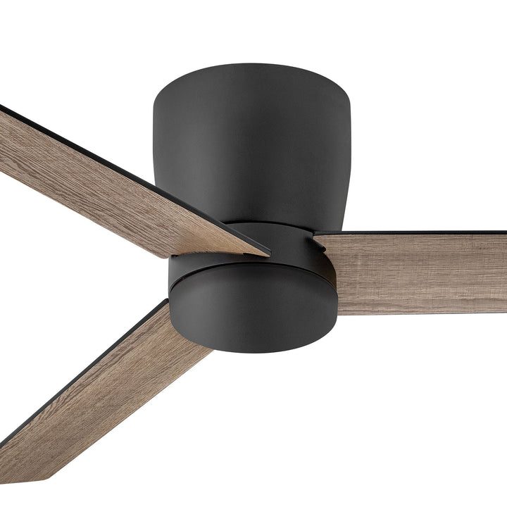Hinkley Ari Ceiling Fan with Light (view 22)
