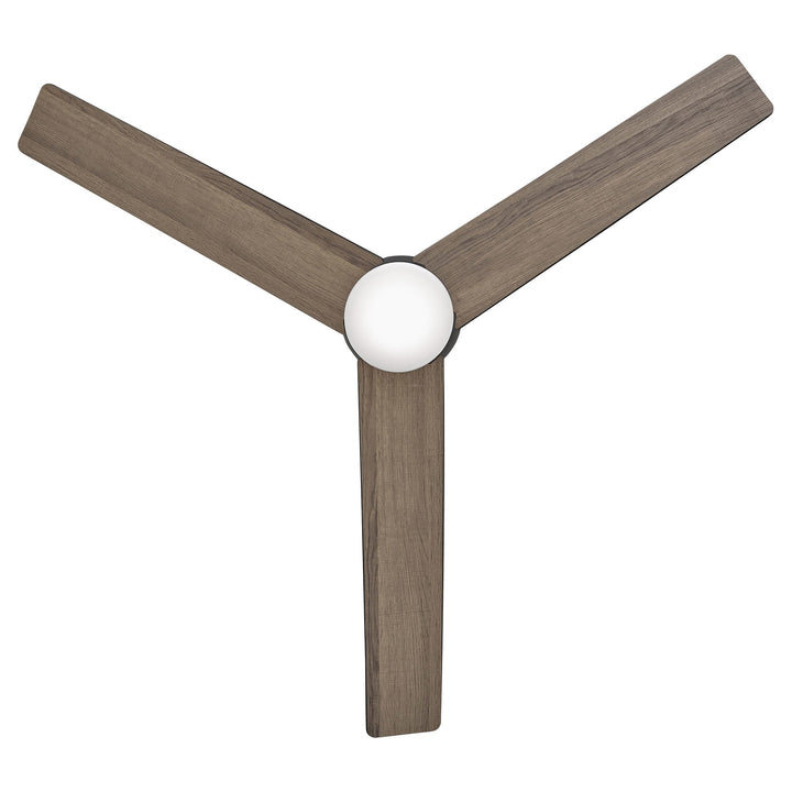 Hinkley Ari Ceiling Fan with Light (view 21)