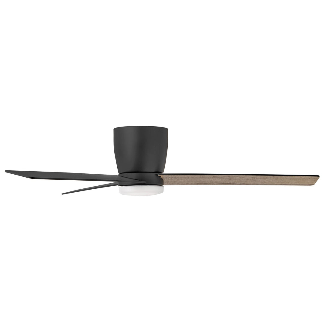 Hinkley Ari Ceiling Fan with Light (view 20)